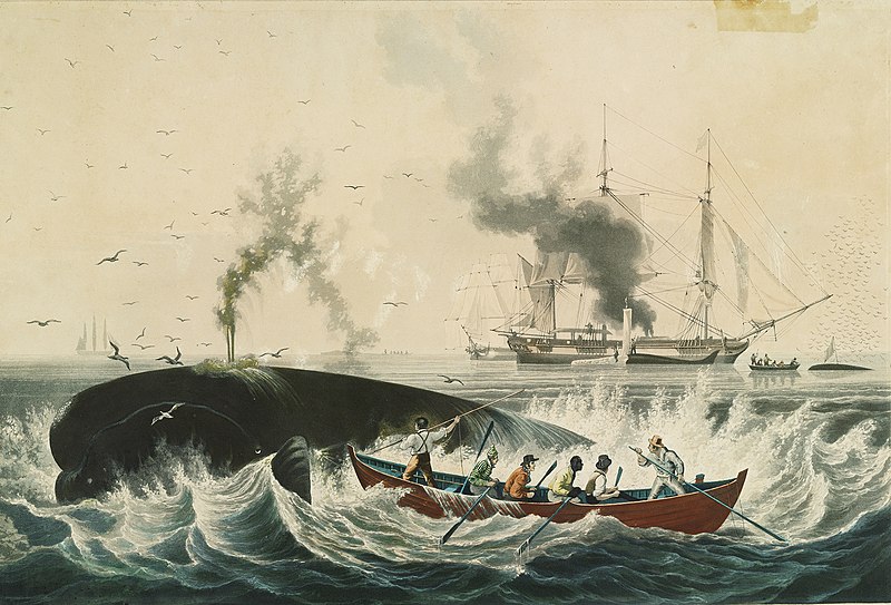 South_Sea_Whale_Fishery,_lithographic_print_painted_by_Garnerey,_engraved_by_E._Duncan,_published_1835