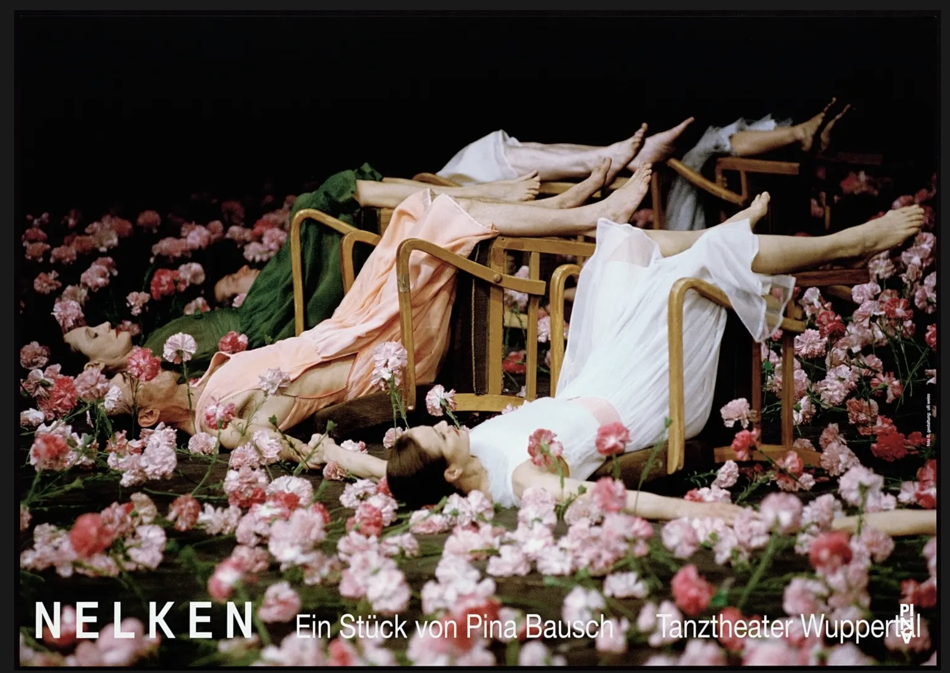 Nelken Pina Bausch